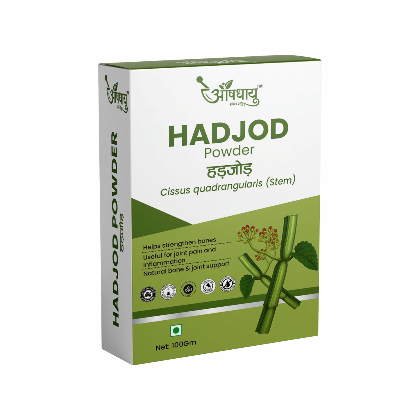 Hadjod Powder – 100% Pure Ayurvedic Herb for Bone & Joint Health